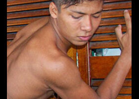 Ardo Collin