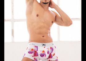 Fabio Stallion