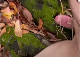 Wildschafe