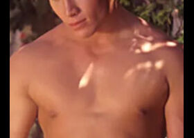 Cort Stevens