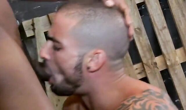 Edji Da Silva & Tyson Tyler