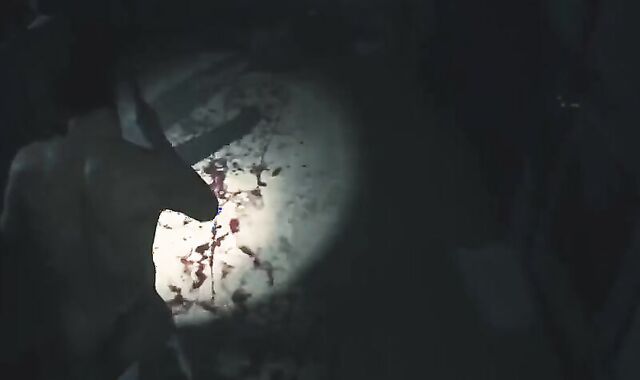 The Final Bare Masculine Project on Resident Sinister two Zombies Bare Mod Version