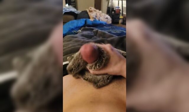 Joy with some Fake Wool ;)