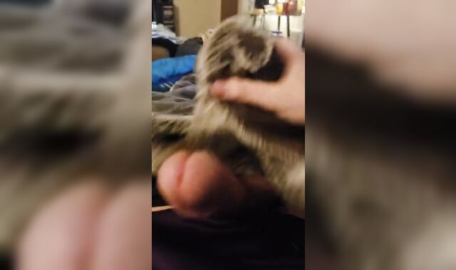 Joy with some Fake Wool ;)