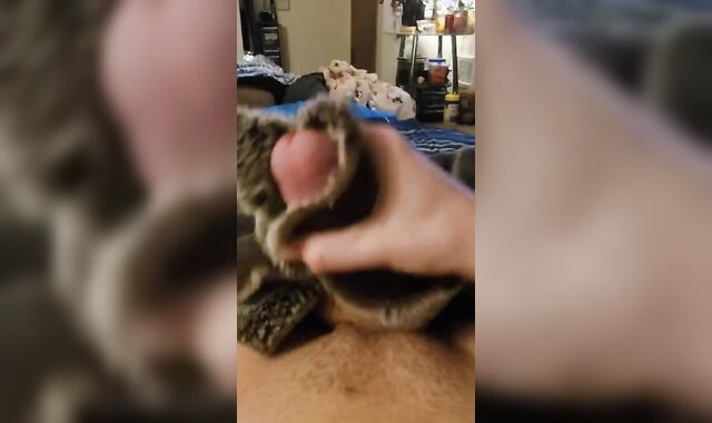 Joy with some Fake Wool ;)