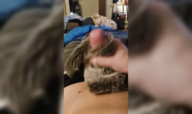 Joy with some Fake Wool ;)