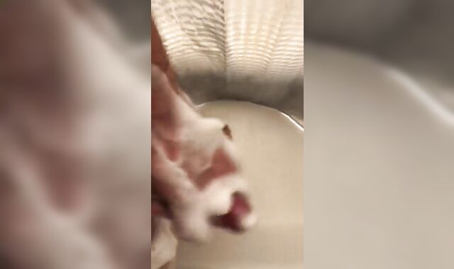 Diminutive Uncircumcised Bone Bathroom Wank off Jerk off