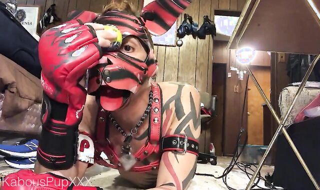 Dressing up the Humanpuppy for Playtime (web cam Flash, Frisky, no Orgy)