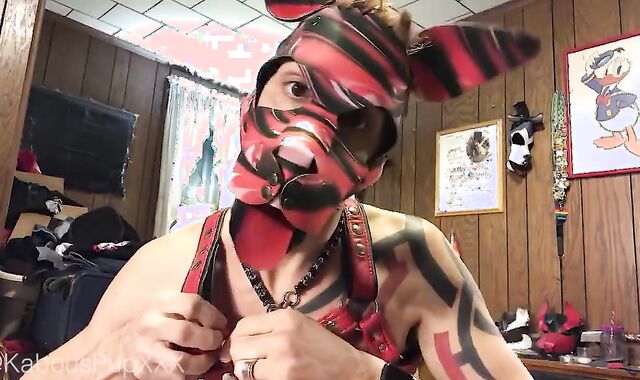 Dressing up the Humanpuppy for Playtime (web cam Flash, Frisky, no Orgy)