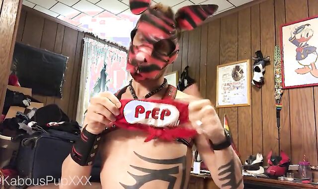 Dressing up the Humanpuppy for Playtime (web cam Flash, Frisky, no Orgy)