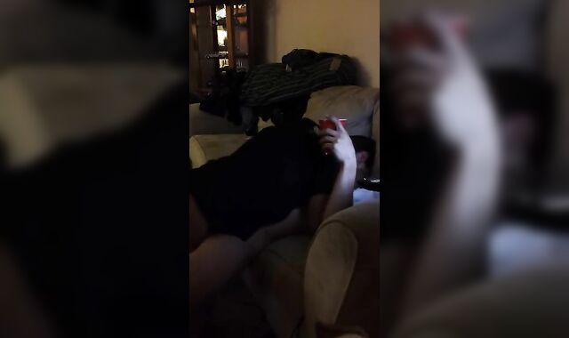 Gay-For-Pay and Homo four