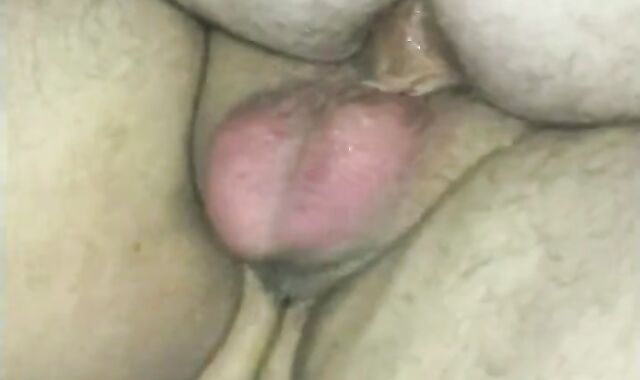 My Colleague and Mate Ravaging