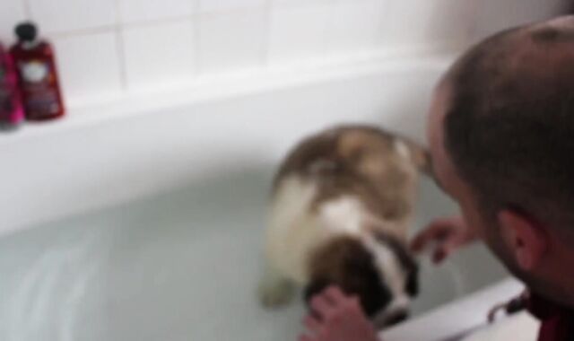 Callums Corner Shares a Tub with Nasty Cherry Lenny