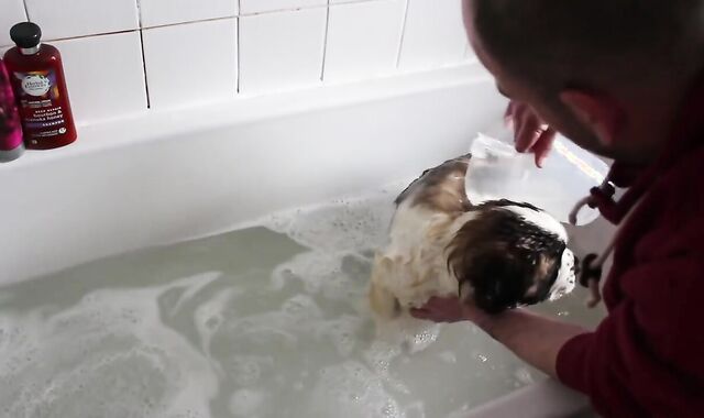 Callums Corner Shares a Tub with Nasty Cherry Lenny