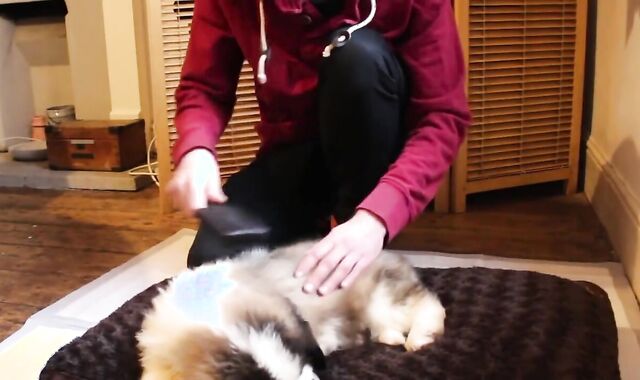 Callums Corner Shares a Tub with Nasty Cherry Lenny