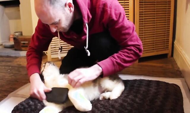 Callums Corner Shares a Tub with Nasty Cherry Lenny