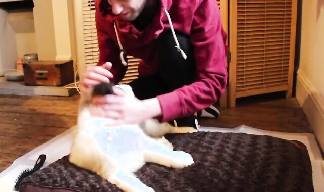 Callums Corner Shares a Tub with Nasty Cherry Lenny