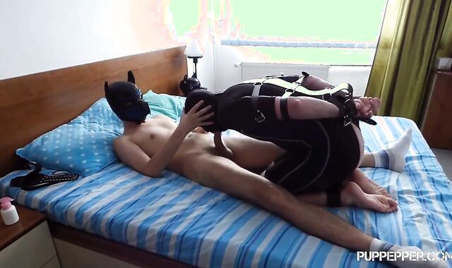 Sir Alpha Pup uses his Tied Teenager marionette as he Satisfies (trussed Tough Drill)