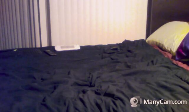 Spun G Joy Breeding Ginger Youngster