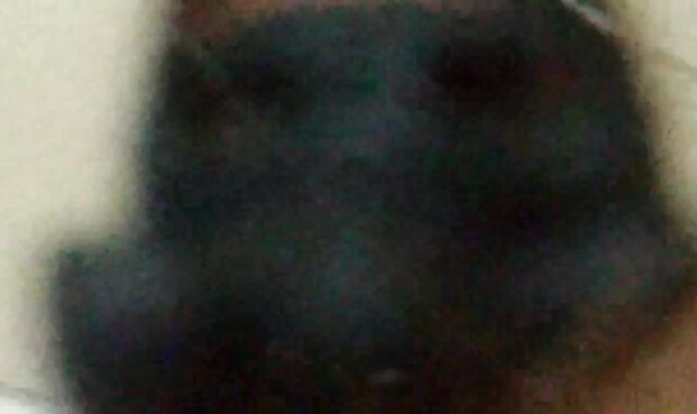 Joy with the Hooded MONSTROUS