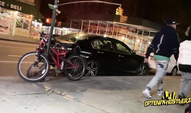 DOMINICAN ERECTION N DONK