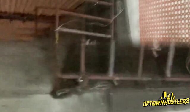 DOMINICAN ERECTION N DONK