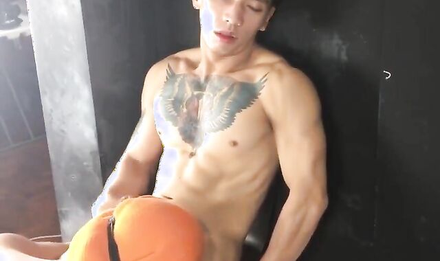 Nip Have Fun & Adore Folios Model 8