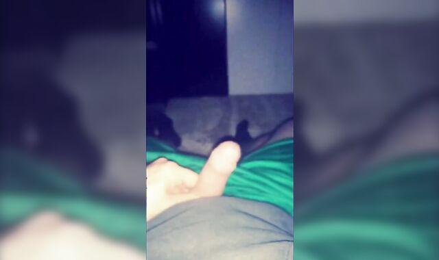 Stand on Sofà i Spisell my Trouser Snake