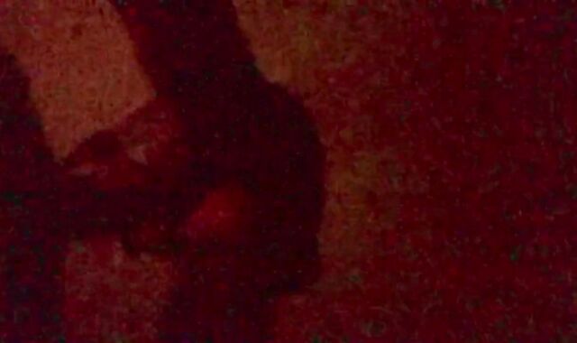 UNCIRCUMCISED BWC ORAL JOB