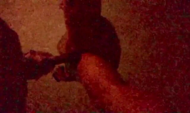 UNCIRCUMCISED BWC ORAL JOB