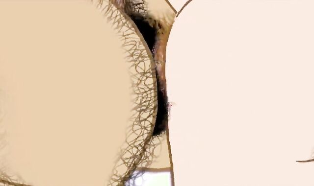 ОДНАЖДЫ В ЖАРКИЙ ЛЕТНИЙ ДЕНЬ