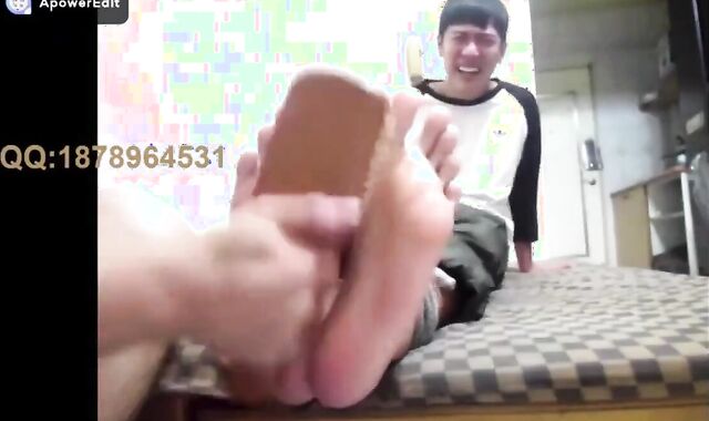 Taiwan Fellow Kittled five