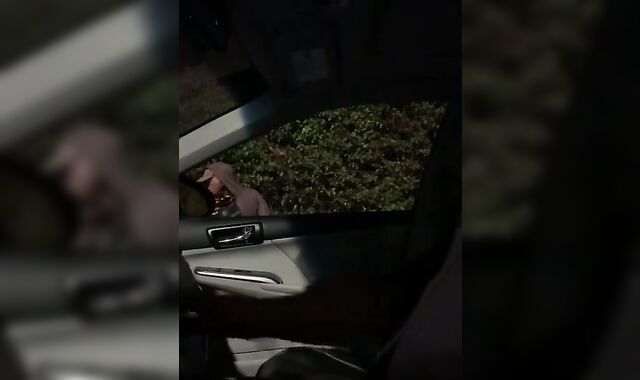 Another Homeless Dude willing to Fellate some Penis for Cash.