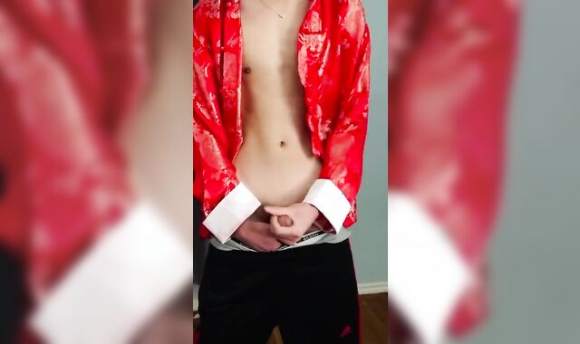 Japanese Yankee Youngster Celebrates Japanese fresh Yr 2020