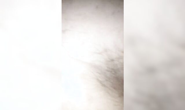 Porked Exes Heterosexual Nephew