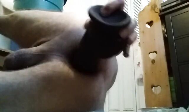 Freshest Fucktoy Have Fun