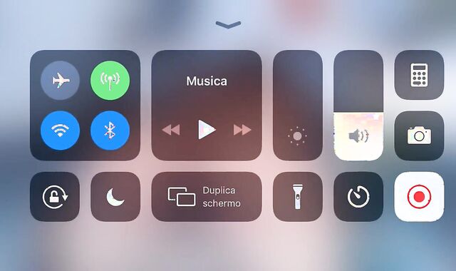 Home Alone Experience