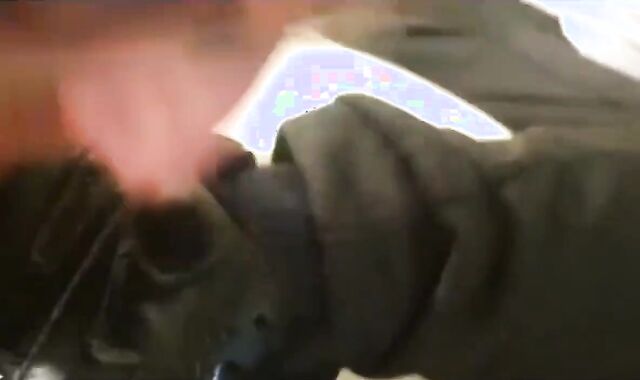 Magnificent Alpha Trainer Adore