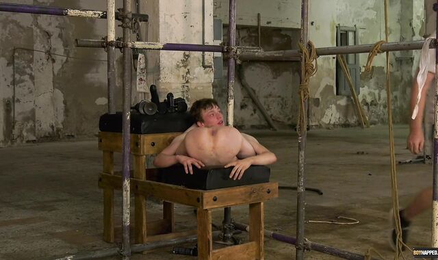 Held lad queer Alex Fake culo plumbed With playthings By taskmaster