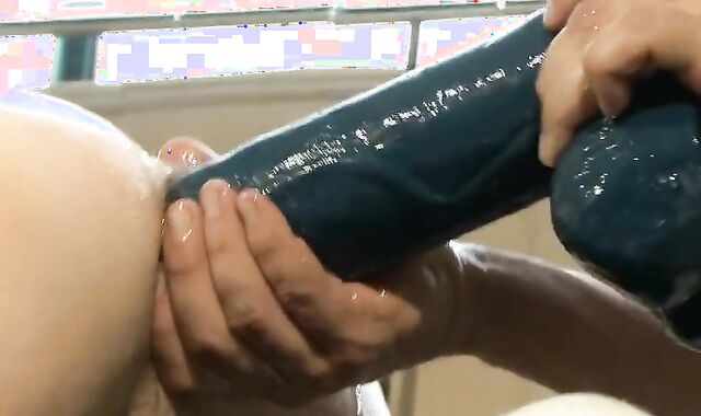 Studying Faux-Cocks On The Bench