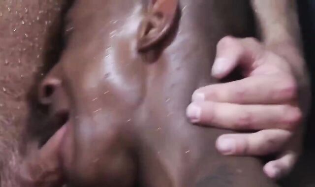 Bodybuilder's Roll ravage