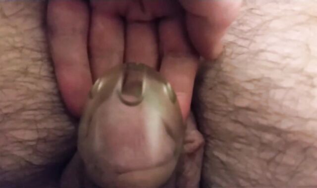 Guts Milkings - An Cumpilation Film