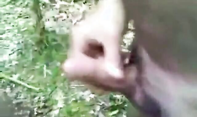 Outdoor Fun: Blowjob Adventure in the Woods