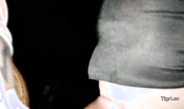 #Promo 1 [TigrLex] Russian Home pin