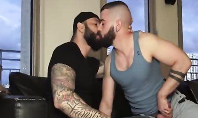 Wolf Called To The Rescue To penetrate