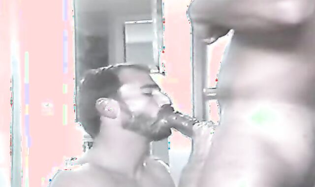 AL PARKER'S TOP SPECTACLES