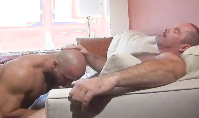 Tim Kelly dril The filthy Tony Daniels