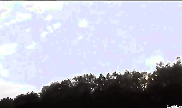 MY HEART BELONGS two PARENT XXI