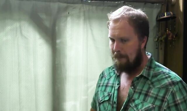 Ac/dc Nosey Wolf (2017)