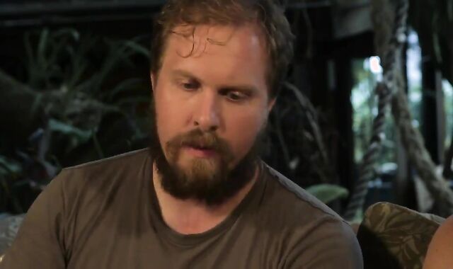 Ac/dc Nosey Wolf (2017)